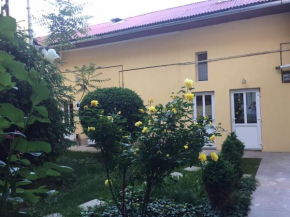 Vivaldi Studios